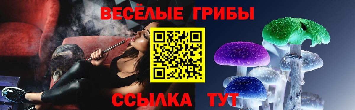 Галлюциногенные грибы Psilocybine cubensis Полевской